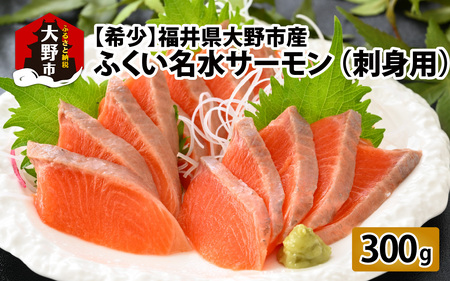 [希少]福井県大野市産 ふくい名水サーモン 300g(刺身用)真空冷凍 (皮なし・骨取り)[A-014008]