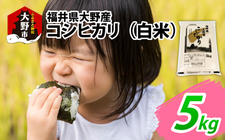 [先行予約][令和8年度産 新米]福井県大野産コシヒカリ(白米)5kg [A-094001]