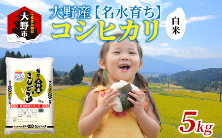 [令和6年産 新米]大野産コシヒカリ(白米)5kg[大野ブランド米 名水育ち][A-097002]