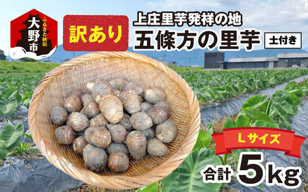 [訳あり][年内発送] 上庄里芋発祥の地 五條方の里芋 Lサイズ土付(秀・優)混合5kg