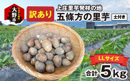 [訳あり][年内発送] 上庄里芋発祥の地 五條方の里芋 LLサイズ土付(秀・優)混合5kg