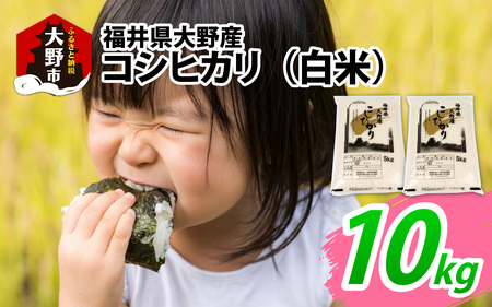 【先行予約】【令和7年産 新米】福井県大野産コシヒカリ（白米）10kg（5kg×2袋）
