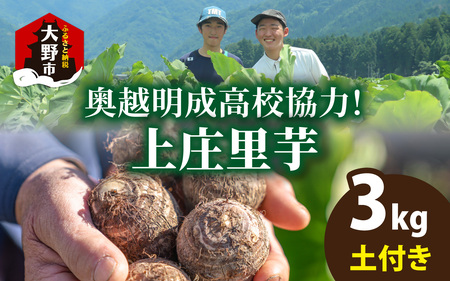 [先行予約]奥越明成高校協力!! 旨味たっぷり上庄の里芋[土付]3kg[11月10日より順次発送]