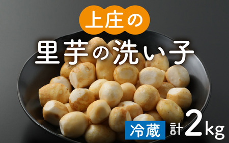 [令和7年産 収穫開始!]皮むきいらず、煮っ転がしに最適!上庄の里芋の洗い子[冷蔵]2kg