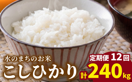 【令和7年産】【12ヶ月定期便】こしひかり 20kg × 12回 計 240kg【白米】減農薬・減化学肥料 「特別栽培米」－地球にやさしいお米－ [T-003002]