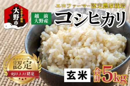 [先行予約][令和8年産 新米][有機栽培]越前大野産 エコファーマー認定農家栽培 こしひかり5kg(玄米)[2026年10月より順次発送][A-001084]