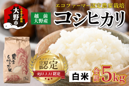 [先行予約][令和8年産 新米][有機栽培]エコファーマー認定農家栽培 コシヒカリ5kg(白米)[2026年10月より順次発送] [A-001086]