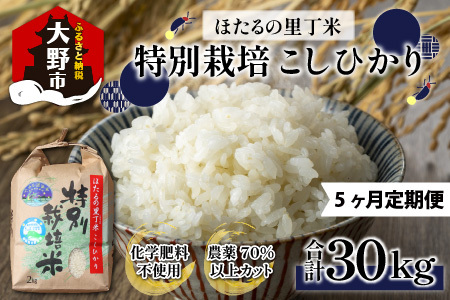【先行予約】【令和8年産 新米】【5ヶ月定期便】ほたるの里 特別栽培こしひかり 6kg [J-002003] 精米 ベストファーマー