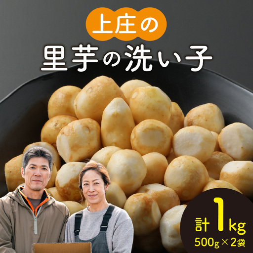 [先行予約]上庄の里芋の洗い子[冷凍] 計1kg[10月中旬より順次発送]里芋