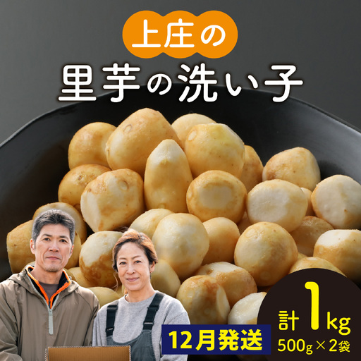 [先行予約][12月発送]上庄の里芋の洗い子[冷凍] 計1kg