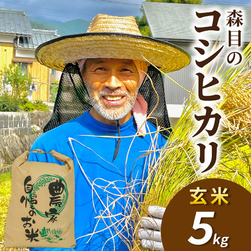 [先行予約][令和8年産 新米][玄米]森目のコシヒカリ 5kg |こしひかり お米 精米 産地直送 福井県 大野