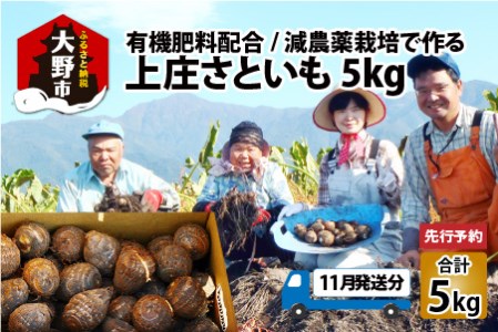 [先行予約][11月発送分]上庄さといも5kg 日本一の味をめざし、有機肥料配合、減農薬栽培の「独自栽培」で作る里芋[A-005001_01]