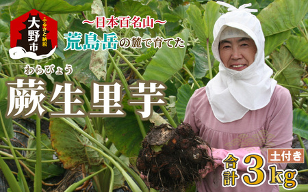 [先行予約][年内お届け]日本百名山 荒島岳の麓で育てた 蕨生(わらびょう)里芋 3kg [11月〜出荷]