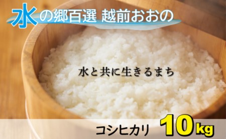 【令和5年産】こしひかり（福井県大野市産）エコファーマー米（白米）10kg（5kg×2袋）