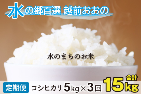 【令和5年産】【3ヶ月定期便】こしひかり 5kg×3回 計15kg【白米】「エコファーマー米」水のまちのお米 [B-003004]