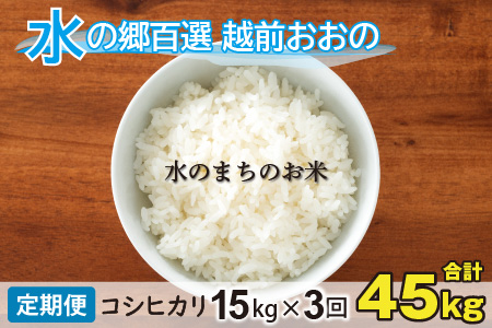 【令和7年産】【3ヶ月定期便】こしひかり 15kg×3回 計45kg（白米）「エコファーマー米」水のまちのお米[F-003002]