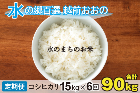 【令和7年産】【6ヶ月定期便】こしひかり 15kg×6回 計90kg（白米）「エコファーマー米」水のまちのお米[J-003002]