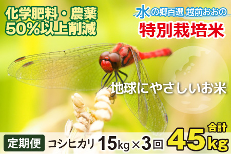 【令和7年産】【3ヶ月定期便】こしひかり 15kg ×3回 計 45kg【白米】　減農薬・減化学肥料 「特別栽培米」－地球にやさしいお米－ [F-003001]