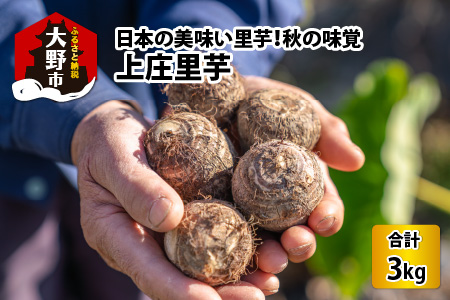 [先行予約]日本の美味い里芋!秋の味覚 上庄里芋 3kg[11月〜年内出荷]