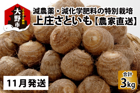 [先行予約][11月発送分]上庄さといも 3kg 減農薬・減化学肥料の特別栽培里芋 農家直送 [A-004001_02]