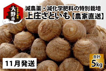 ys\zy11z㏯Ƃ 5kg _Ew엿̓ʍ͔| _ƒ [A-004002_02]