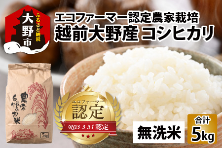 [先行予約][令和6年産 新米]越前大野産 エコファーマー認定農家栽培 こしひかり5kg(無洗米) [A-001044]