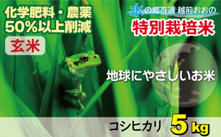 [令和5年産]こしひかり 5kg[玄米]減農薬・減化学肥料 「特別栽培米」-地球にやさしいお米-[A-003009]