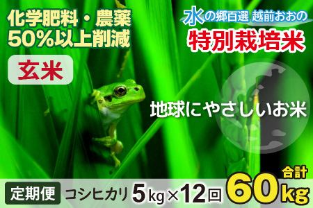 【令和5年産】【12ヶ月定期便】こしひかり 5kg × 12回 計 60kg【玄米】減農薬・減化学肥料 「特別栽培米」－地球にやさしいお米－[H-003003]