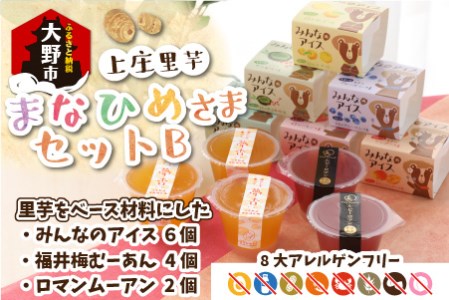 【アレルギー対応スイーツ】まなひめさまセットＢ(里芋ベースのゼリー風スイーツ&アレルギー特定原材料8品目不使用のアイス)