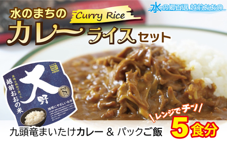 レンジでチン！水のまちのカレーライスセット【５食分】