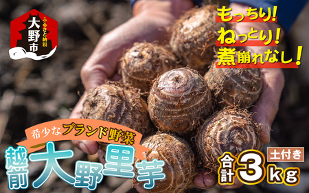 [先行予約]越前大野里芋 3kg ねっとりうまい煮崩れしない![2026年3月中旬〜4月上旬出荷]