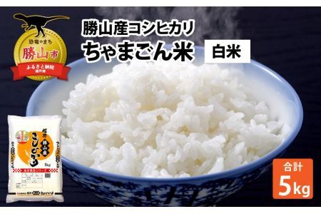 [令和6年産 新米]勝山産 コシヒカリ ちゃまごん米 精米 5kg [A-010003]