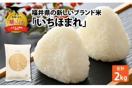 令和6年産 福井県の新しいブランド米 いちほまれ2kg ×1袋 [A-015009]