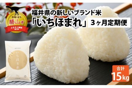 [3ヶ月連続定期便]令和6年産 福井県の新しいブランド米 いちほまれ5kg ×1袋(5kg × 3ヶ月) [D-015013]