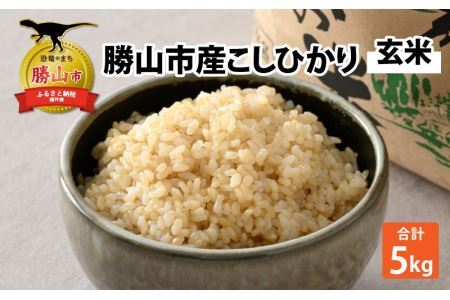 [先行予約][令和6年産]勝山市産こしひかり(玄米)5kg ×1袋 ※2024年9月中旬より順次発送 [A-046001]