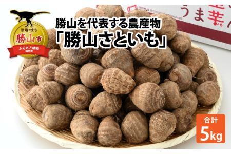 [先行予約][令和6年産]勝山を代表する農産物 勝山さといも 5kg ※2024年11月上旬より順次発送 [A-046003]