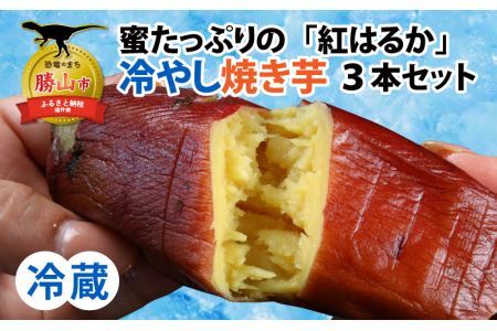 [先行予約]蜜たっぷりの紅はるかを使った 冷やし焼き芋 3本セット(約600g〜750g) ※2025年3月上旬より順次発送 [A-069001]