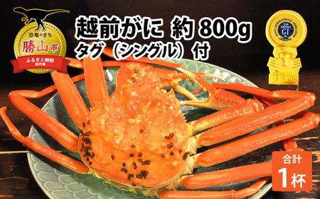 越前ずわいがに 約800g × 1杯 タグ(シングル)付 [H-044001]