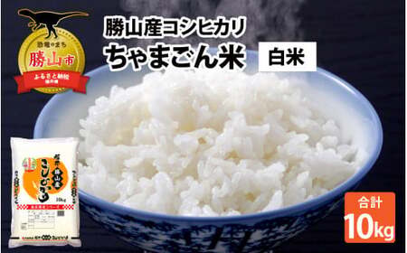 �y�ߘa7�N�Y �V�āz���R�Y �R�V�q�J�� ����܂���� ���� 10kg [C-010018]