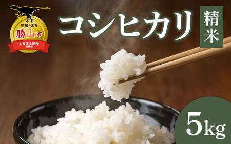 yRsYzc񂿂̃RVqJ  5kg [A-080006]