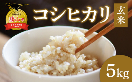 [勝山市産]田中さんちのコシヒカリ 玄米 5kg [A-080007]