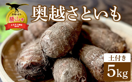 [勝山市産] 田中さんちの奥越さといも 5kg [A-080008]