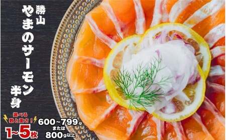 ���R ��܂̃T�[���� ���g �Ⓚ  ��800���ȏ�×1�� [A-050009]