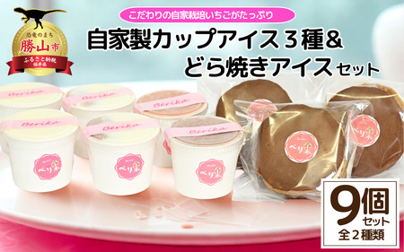 自家製カップアイス3種+どら焼きアイスセット[B-045002 ]