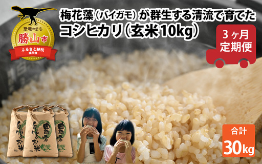 令和8年産 梅花藻が群生する清流で育てたコシヒカリ（玄米 10kg）3か月定期便 計30kg ※2026年9月下旬以降順次発送予定[C-040008]