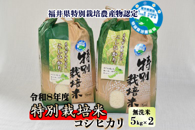 【先行予約】令和8年産 特別栽培米コシヒカリ 5kg ×2袋（無洗米） 【2026年9月29日より順次発送】 [B-005012]