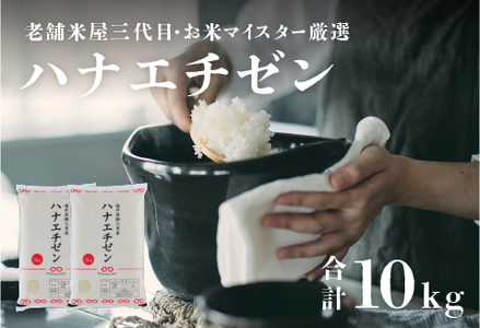 [令和6年産新米!]ハナエチゼン 10kg (5kg × 2袋) / 米 白米 ごはん ご飯 コメ おにぎり お米 福井