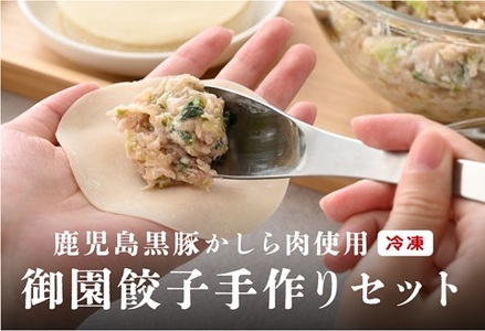 御園餃子 冷凍 手作りセット (餡500g、皮25枚)×2個