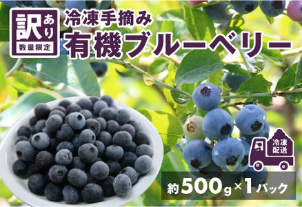 [訳あり]令和6年産[冷凍]手摘み有機ブルーベリー500g(500g × 1パック)