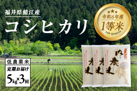 [3ヶ月連続お届け]2024年10月以降順次発送!新米!令和6年産 内農米コシヒカリ定期便 5kg × 3回 計15kg